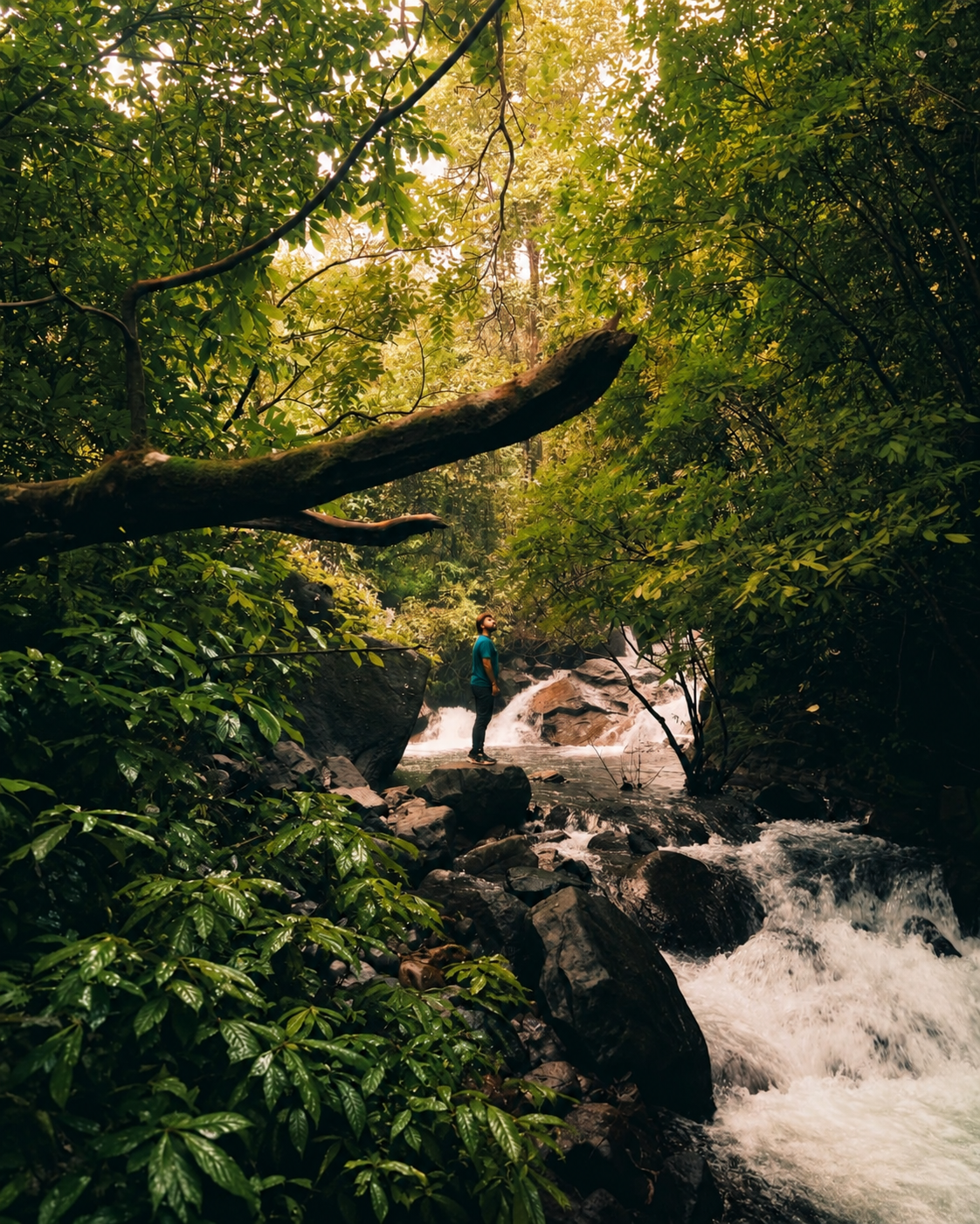 Hiker standing by forest stream waterfall at Holistic Stay Eco Resort Kannur Kerala