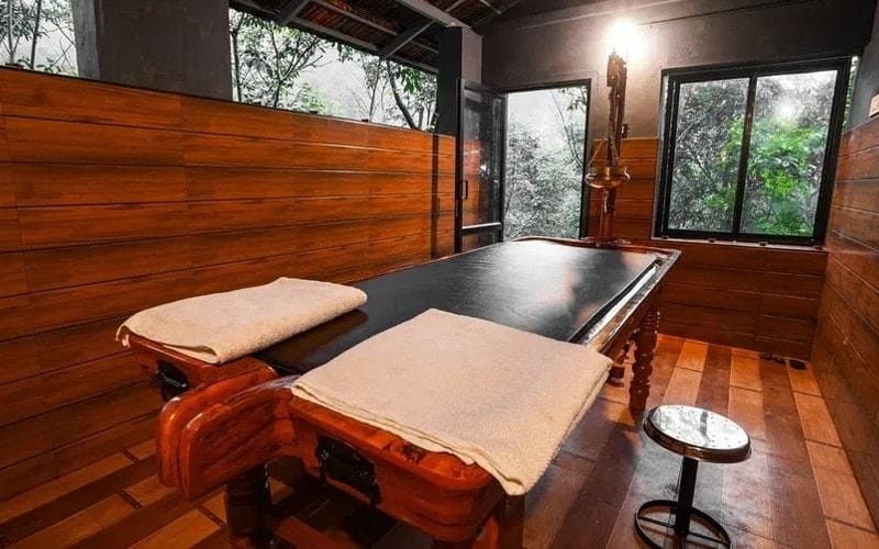 Best Detox Retreats in India