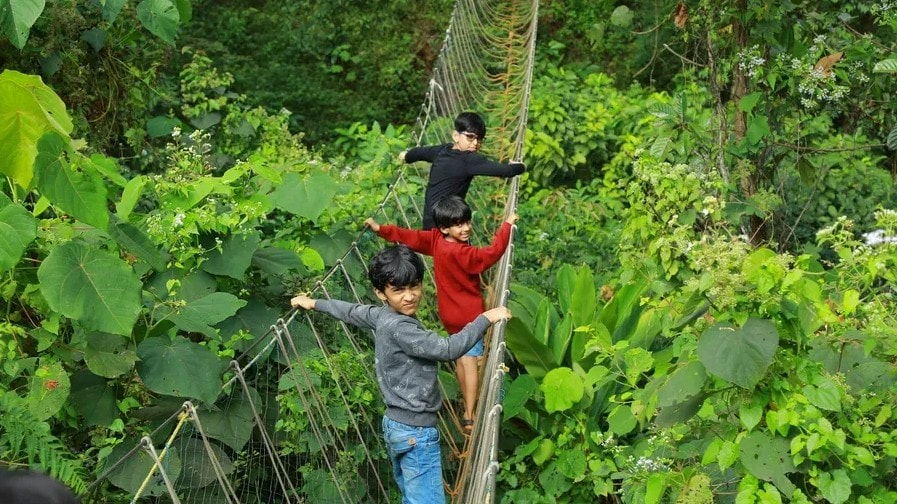 Children climbing the rope bridge through jungle foliage at Holistic Eco-Resort