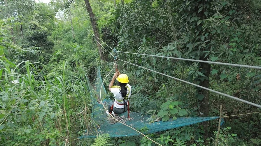 Person ziplining through the forest canopy at Holistic Eco-Resort