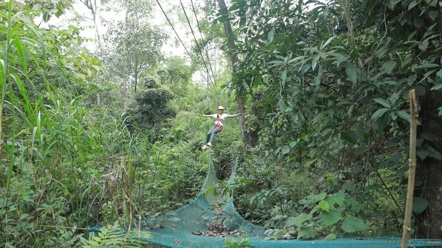 Person ziplining through dense jungle canopy at Holistic Eco-Resort