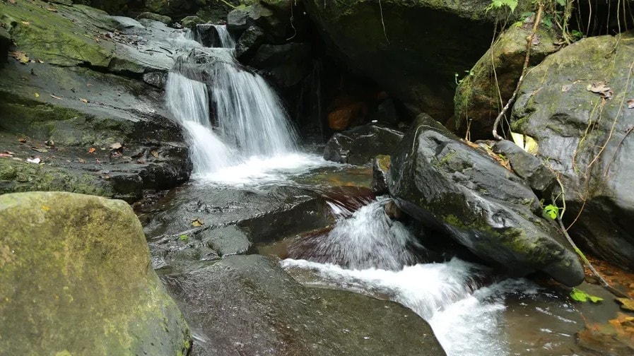 Clear stream waterfall flowing over mossy boulders in the forest at Holistic Eco-Resort