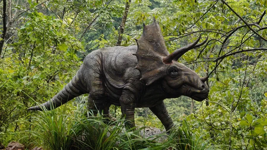 Triceratops dinosaur sculpture in the jungle