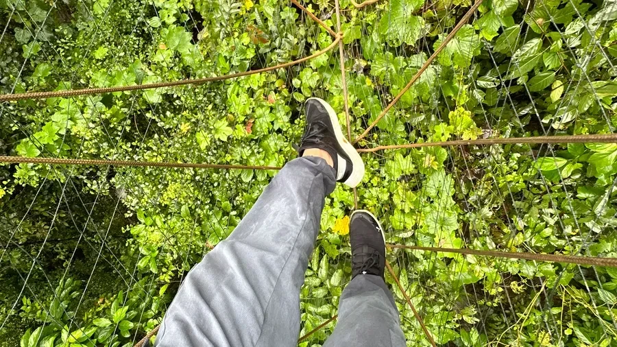 Legs dangling over the jungle canopy on the net bridge
