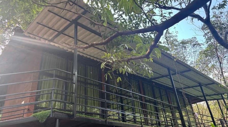 Forest View Room