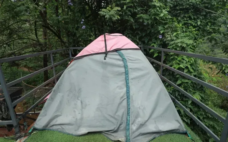Tent Stay — photo 4