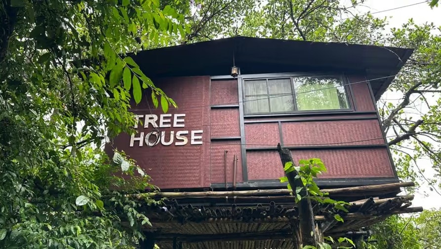 Tree House