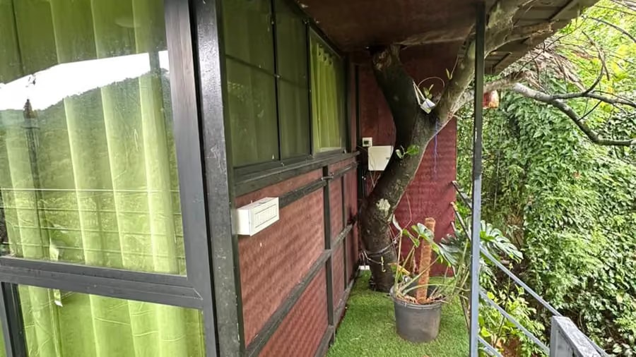 Tree House — photo 6